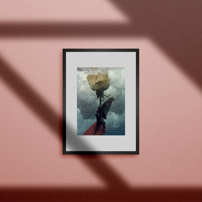 cuadro rosa en el agua