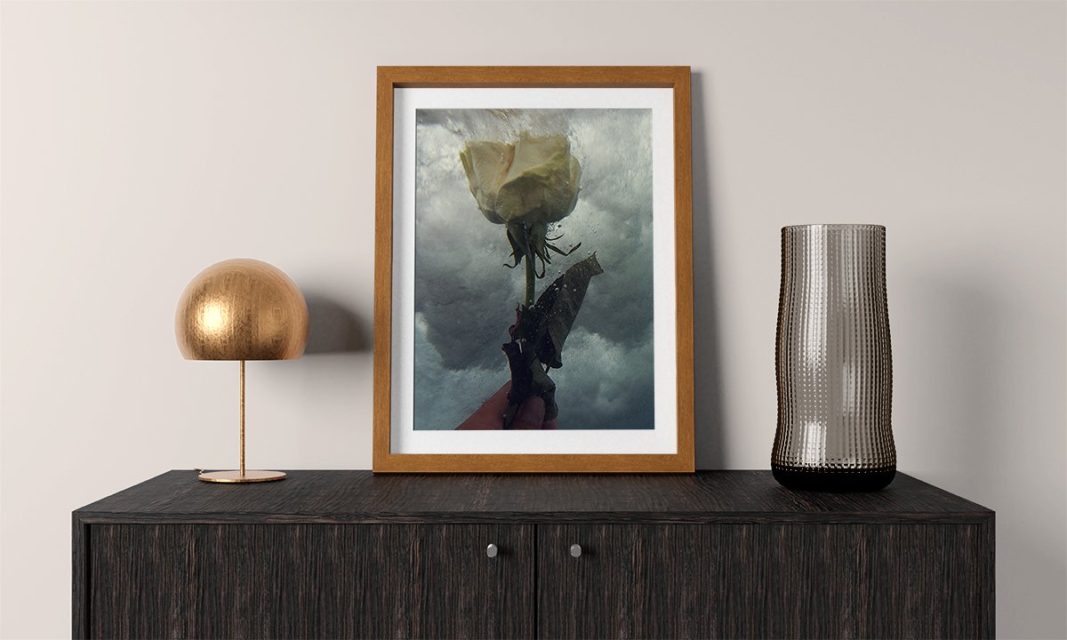 fotografia para decora rosa en el mar