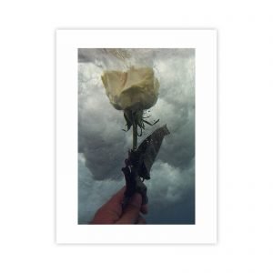 fotografia rosa dentro del agua